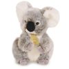 Histoire d'Ours Peluche | Les Authentiques - Koala Pm - 20 Cm