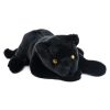 Histoire d'Ours Peluche | Panthere Noire - Jungle Chic