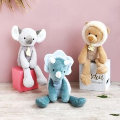 Histoire d'Ours Peluche | Koala - Sweety Chou