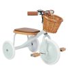 Banwood Trotteur & Porteur | Tricycle Trike - Menthe