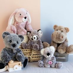 Histoire d'Ours Peluche | Koala - Sweety Mousse