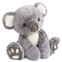 Histoire d'Ours Peluche | Koala - Les Animaux Des Grands Espaces