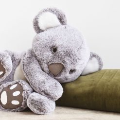 Histoire d'Ours Peluche | Koala - Les Animaux Des Grands Espaces