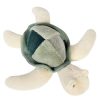 Histoire d'Ours Peluche | Tortue De Mer - Tresors Marins